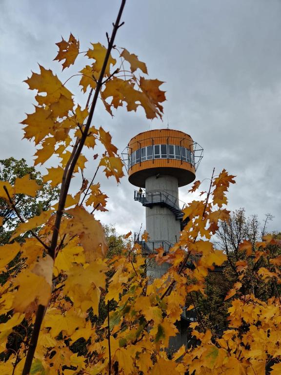 Fotografie z fotogalerie ubytování B&B Talstation v destinaci Hörselberg-Hainich