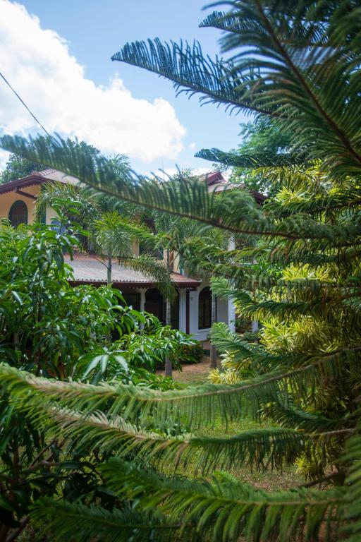 Zahrada ubytování ASNA Homestay