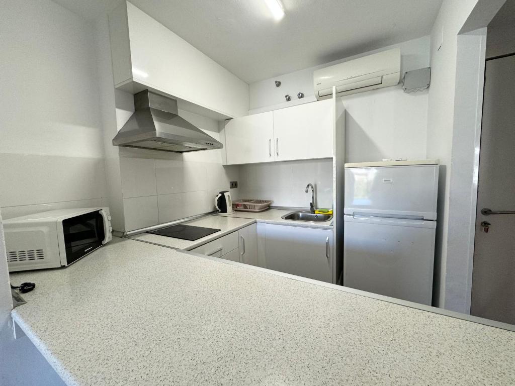 A kitchen or kitchenette at Apartsalou Michelangelo