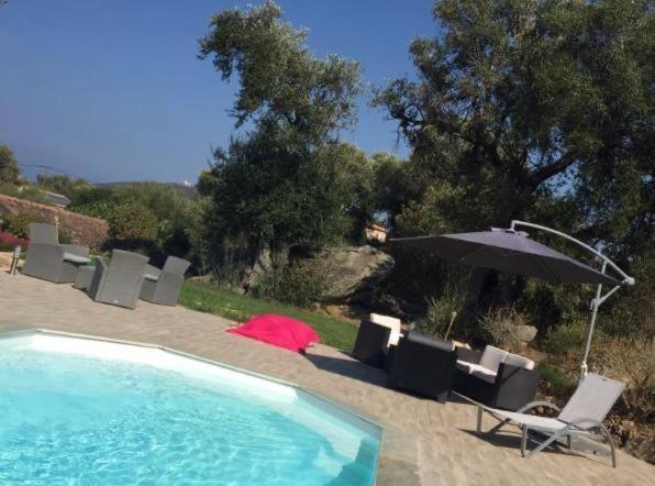 a swimming pool with an umbrella and chairs at Villa luxe bord de mer, jardin, piscine in Corbara