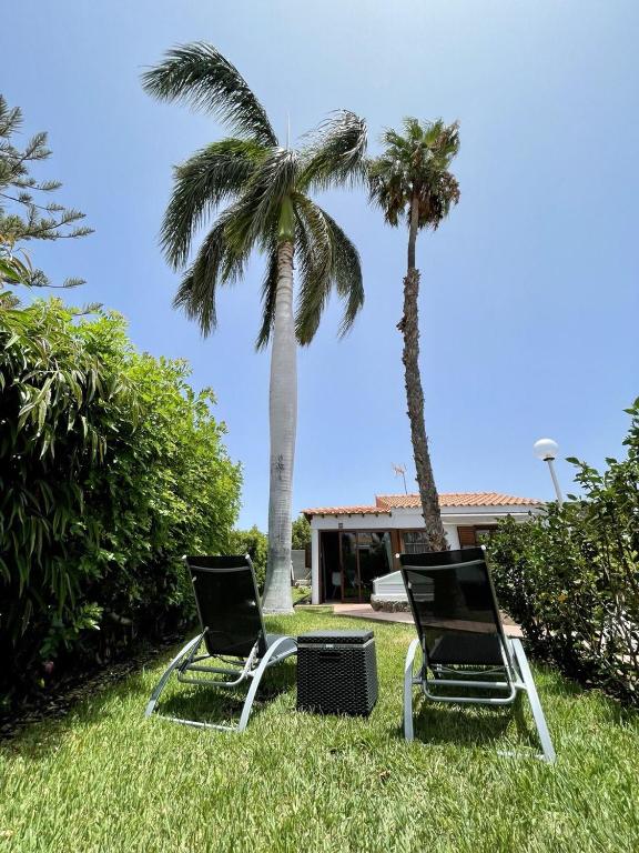 dwa krzesła siedzące w trawie obok palmy w obiekcie Deluxe Las Vegas Golf - by Gestión Vacacional Canarias w mieście Maspalomas