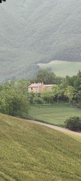 a house in the middle of a field with trees at Ca'Solare Corticelli in San Cristoforo de Valli