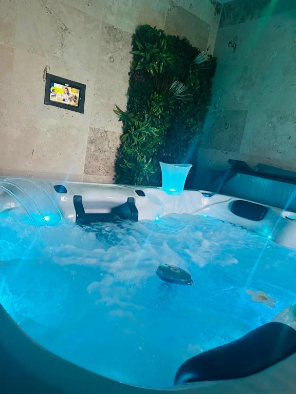d'une baignoire remplie d'eau bleue avec un dauphin. dans l'établissement Loveroom 50 nuances de bulles jacuzzi et sauna privatif, à Lens