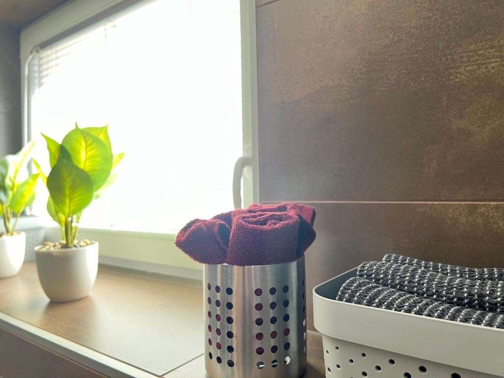 Fotografie z fotogalerie ubytování Apartma - Hiša Zofija v destinaci Slovenske Konjice
