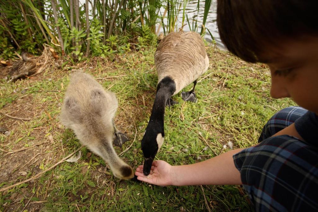 Holiday Inn Saskatoon Downtown by IHG - Resim 17