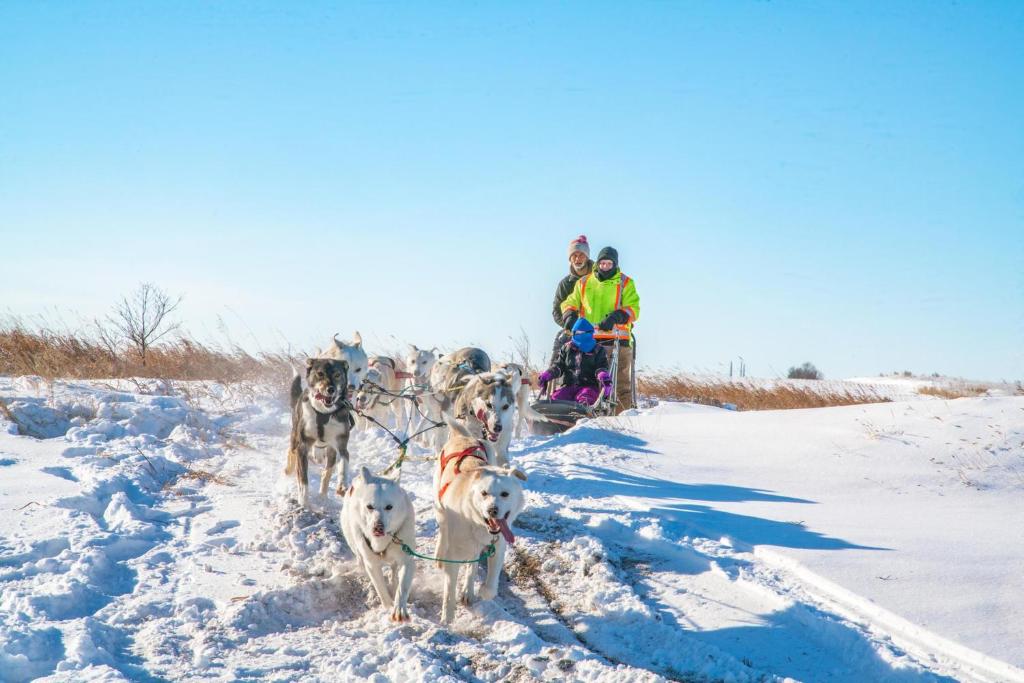 Holiday Inn Saskatoon Downtown by IHG - Resim 32