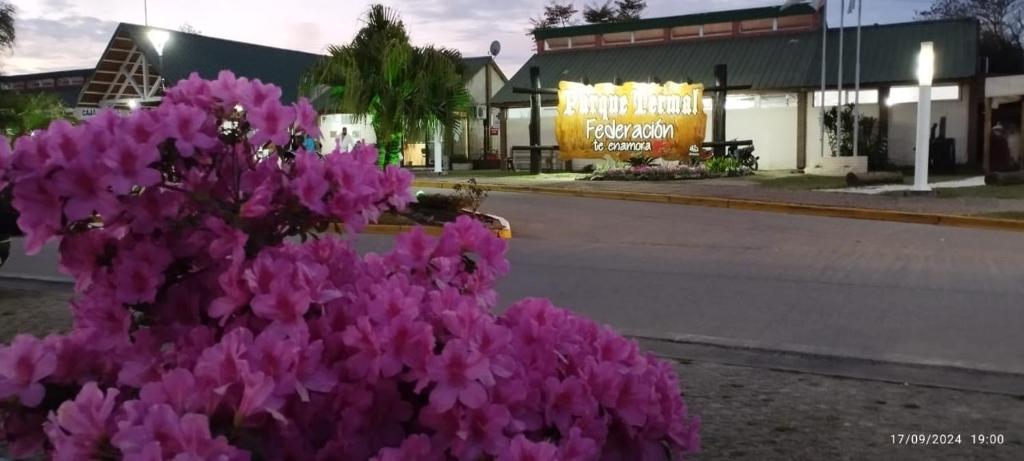 Dptos - 50 mts del Complejo Termal