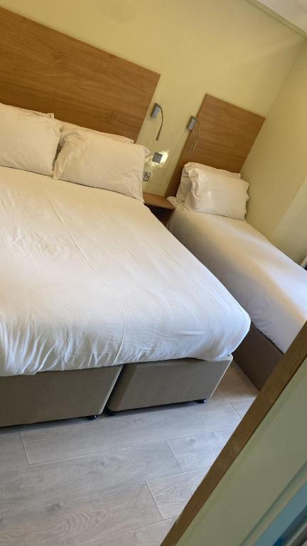 Marldon Olympia Hotel - Resim 10