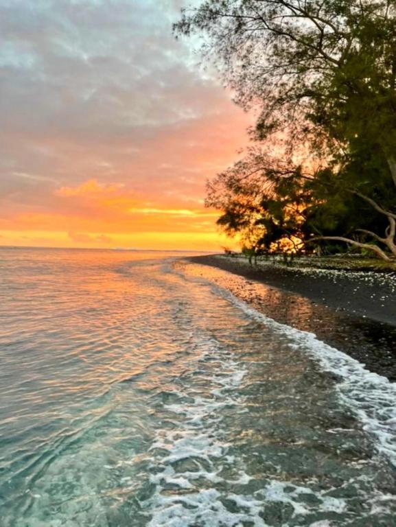 TAHITI - Mango Lodge Hotu - photo 9 - Tahiti, Polynésie