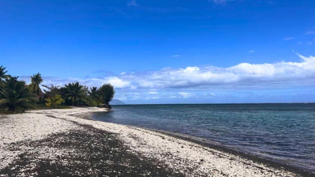 TAHITI - Mango Lodge Hotu - photo 10 - Tahiti, Polynésie