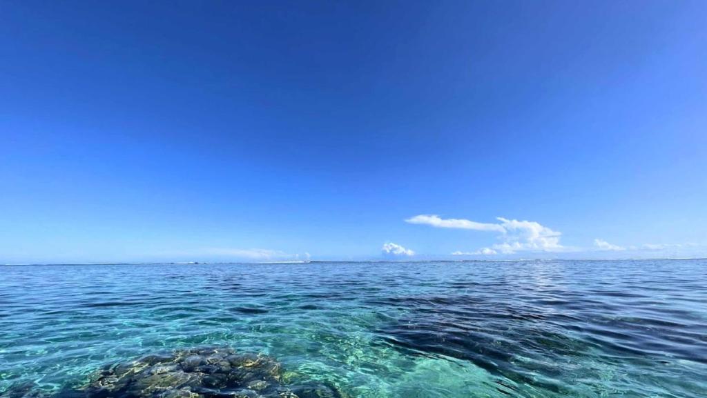 TAHITI - Mango Lodge Moana - photo 9 - Tahiti, Polynésie