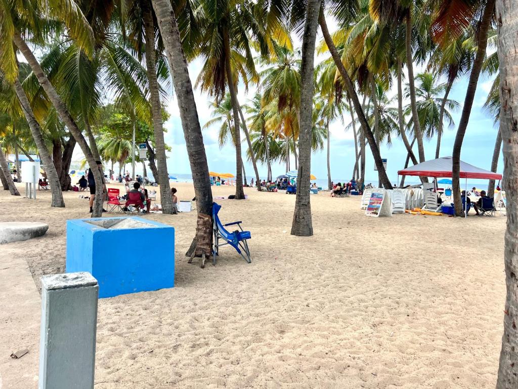 a beach with palm trees and a blue chair at Condado Beachfront Tantra Apartment in San Juan