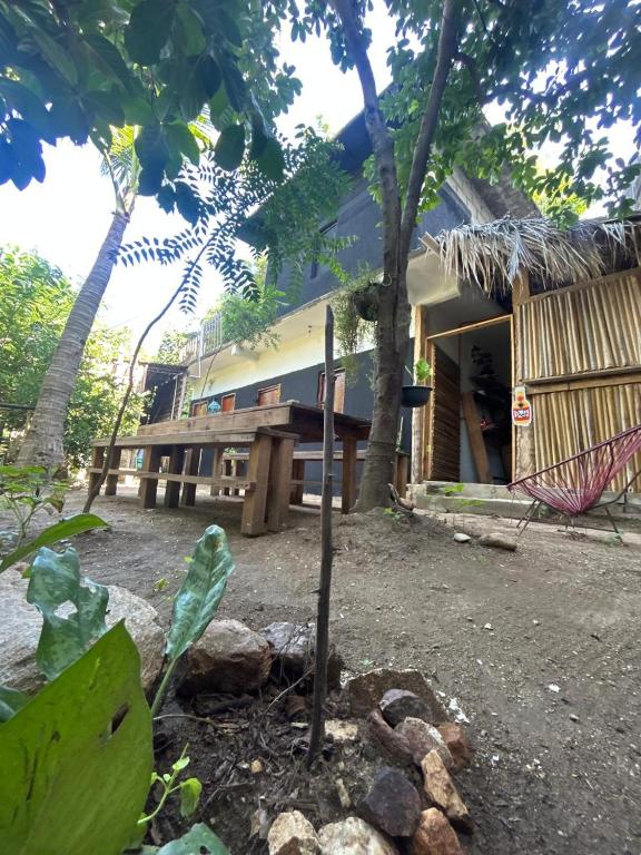 a house with a tree in front of it at Casa de las brujas hostal in Zipolite