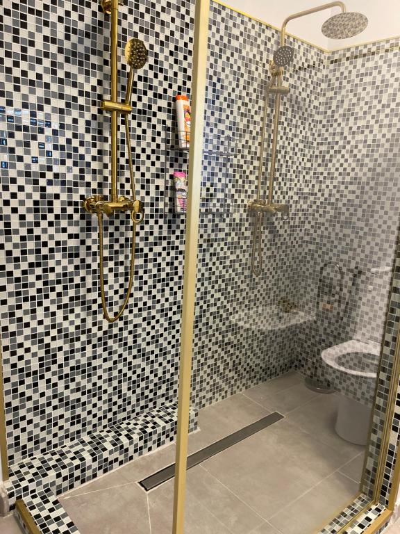 a bathroom with a shower and a toilet at Milennium Apart Hotel in Bucharest