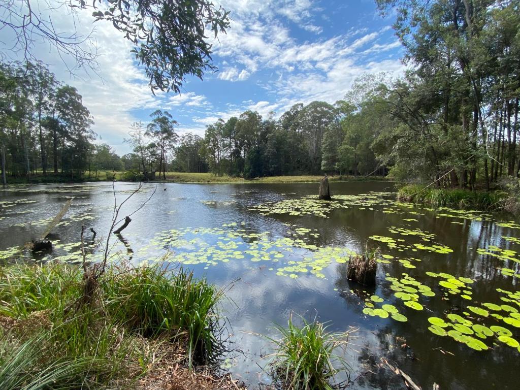 Un paisaje natural cerca de la villa