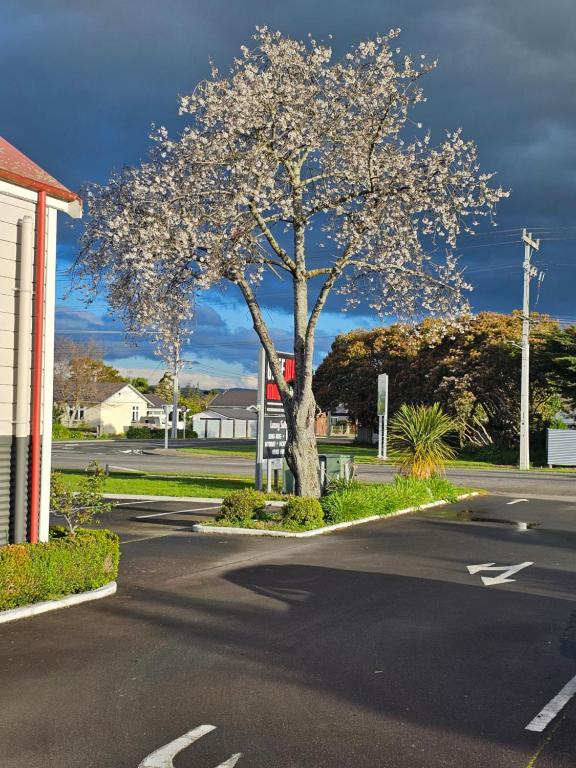 Fotografie z fotogalerie ubytování Gateway Motor Inn v destinaci Masterton