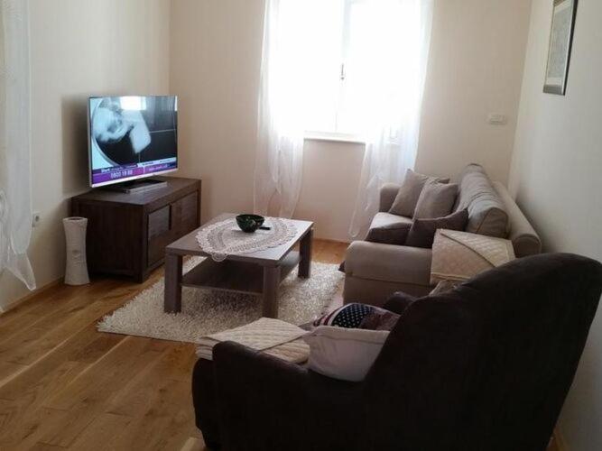 Μια τηλεόραση ή/και κέντρο ψυχαγωγίας στο Apartments Villa Rustica ST - Two-Bedroom Apartment with Balcony and Shared Pool prizemlje