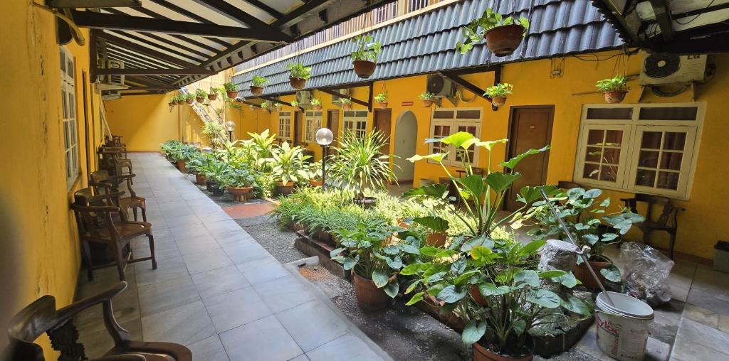 Zahrada ubytování Hotel Tugu Asri