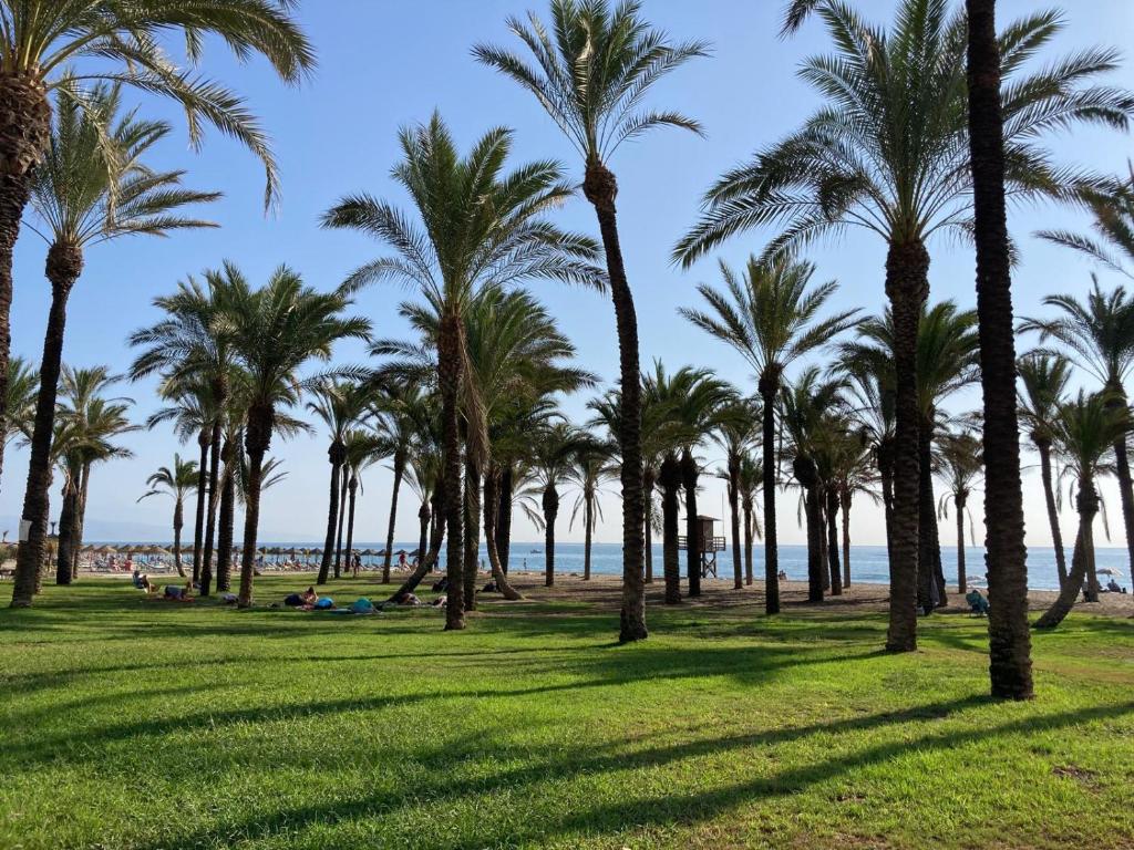 LA CARIHUELA Appartement vue mer
