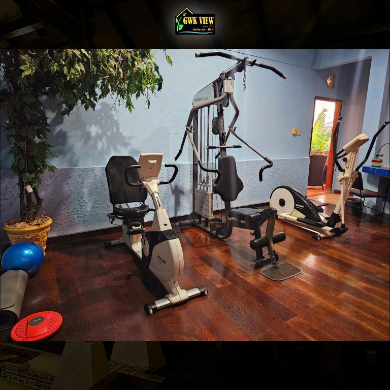 Fitness centrum a/nebo fitness zařízení v ubytování GWK View Boutique Hotel and Residence