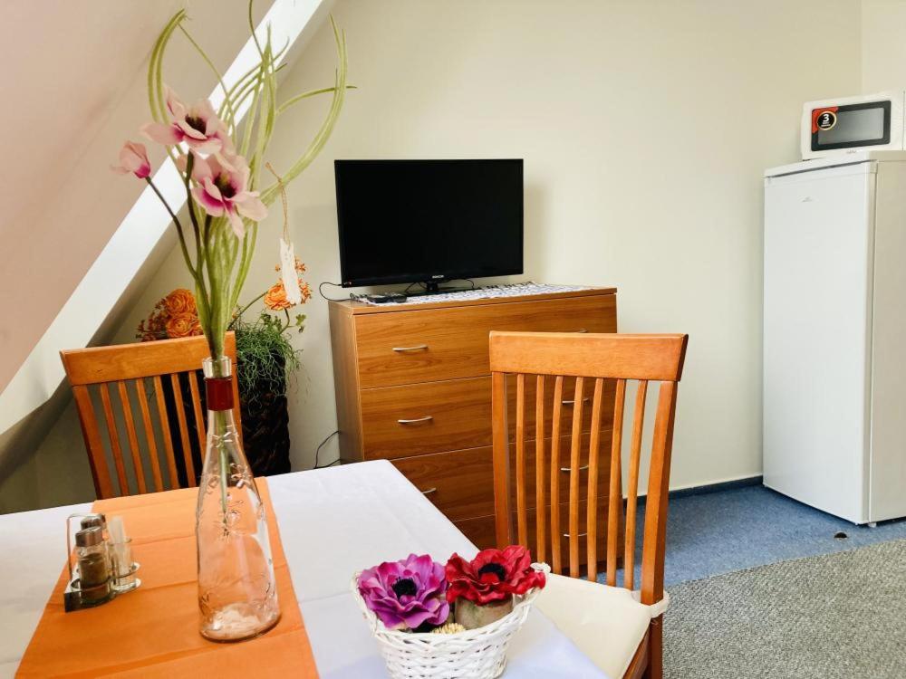TV a/nebo společenská místnost v ubytování Apartmány, Penzion, Wellness U zlaté rybky