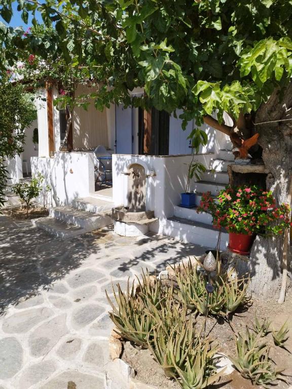 a garden with a tree and flowers in front of a building at Iro's Cute House in Parikia