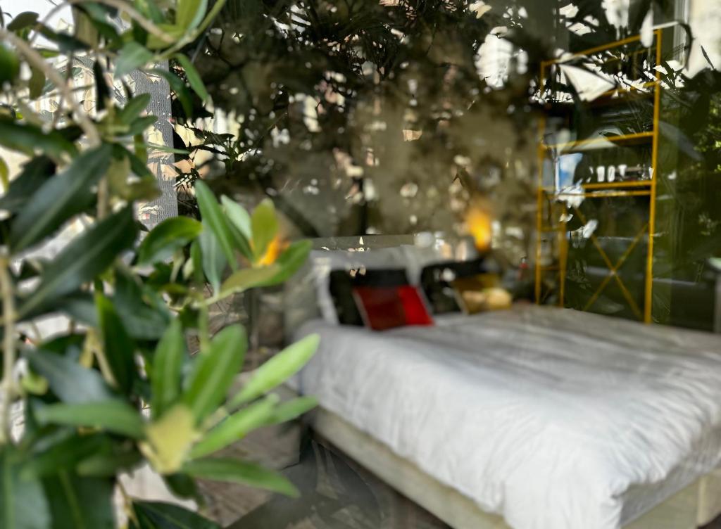 Daen’s Greenhouse - Resim 11