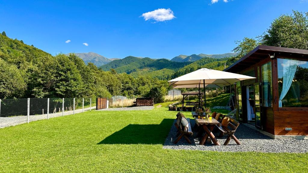 a picnic table with an umbrella in a yard at The Heaven Sibiu in Sebeşu de Sus