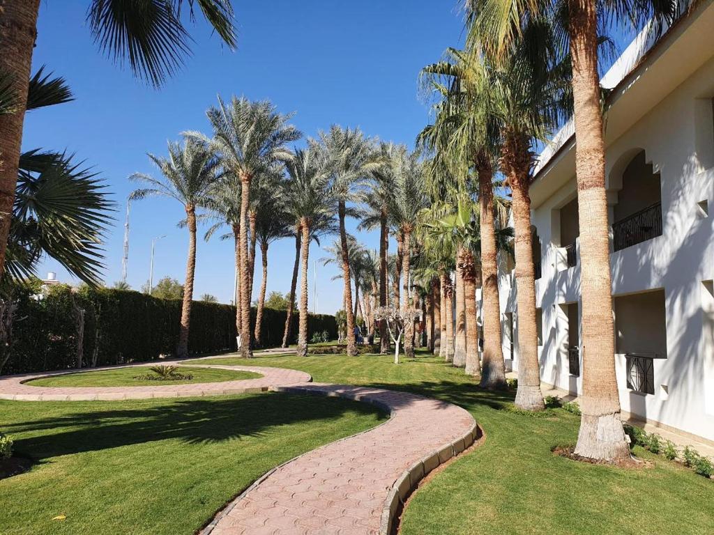 Zahrada ubytování Xperience St. George Sharm El Sheikh