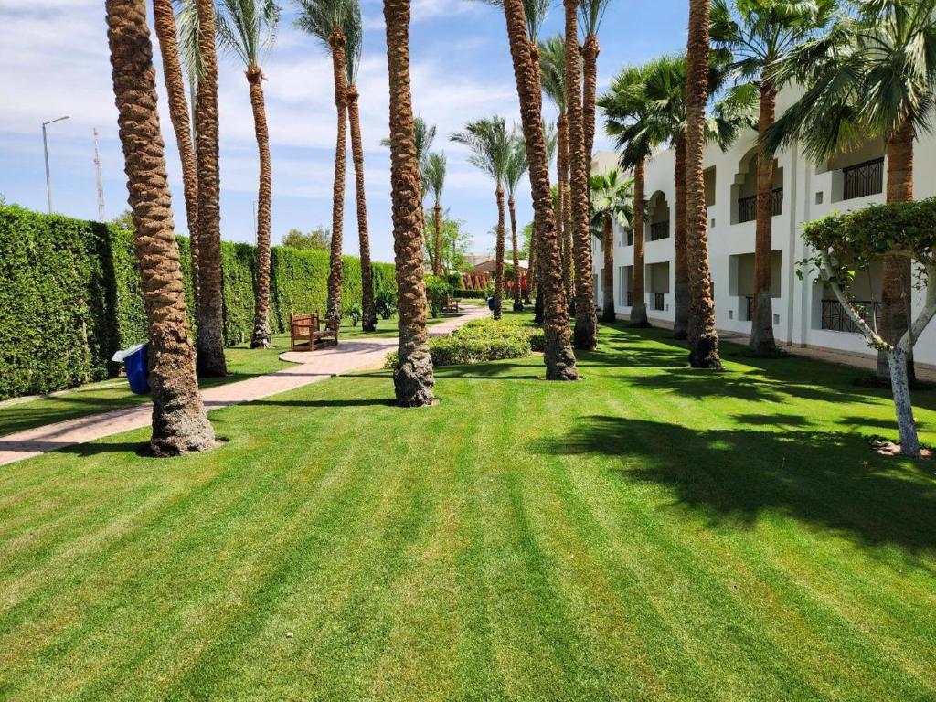 Zahrada ubytování Xperience St. George Sharm El Sheikh