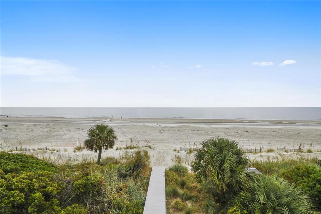 a path in the middle of a beach with palm trees at 27 Singleton Beach- Oceanfront, Private Pool, Pool Table, FREE Activities Included in Hilton Head Island