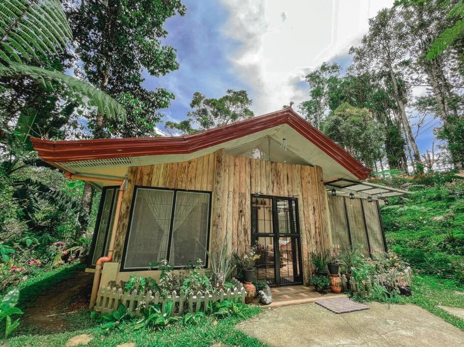 una piccola casa in legno in mezzo a una foresta di TwinkleVille Christmas-Themed Cottage a Kayagan