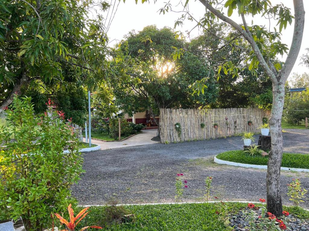 Zahrada ubytování Kraoub Kampot