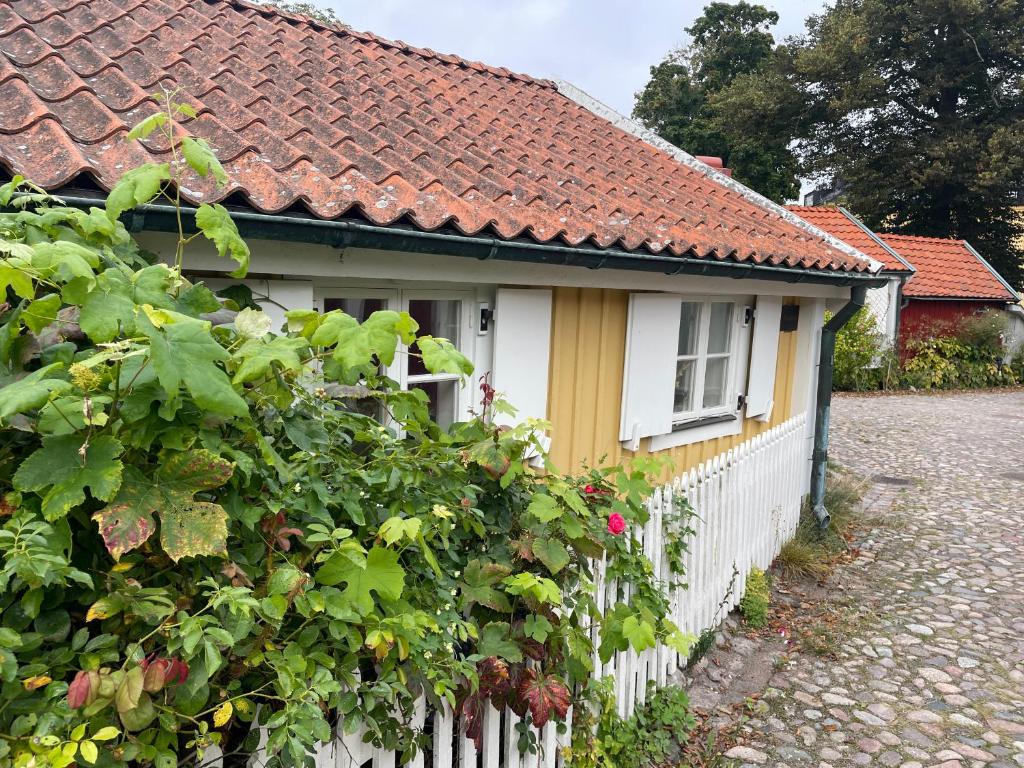 Zahrada ubytování Båtmansstugan i Gamla Stan