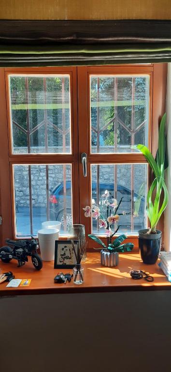 a kitchen counter with three windows and some plants at Konak Apartment in Sarajevo