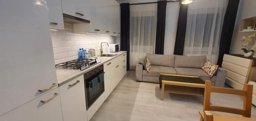 Apartament Mickiewicza - One-Bedroom Apartment
