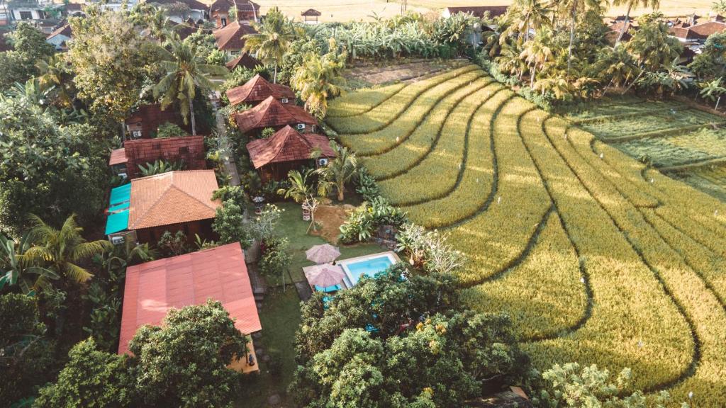 an aerial view of a resort in a rice field at The Dukuh Retreat in Tabanan