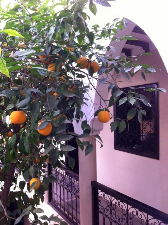 Fotografie z fotogalerie ubytování Riad Le Bel Oranger v Marrákéši