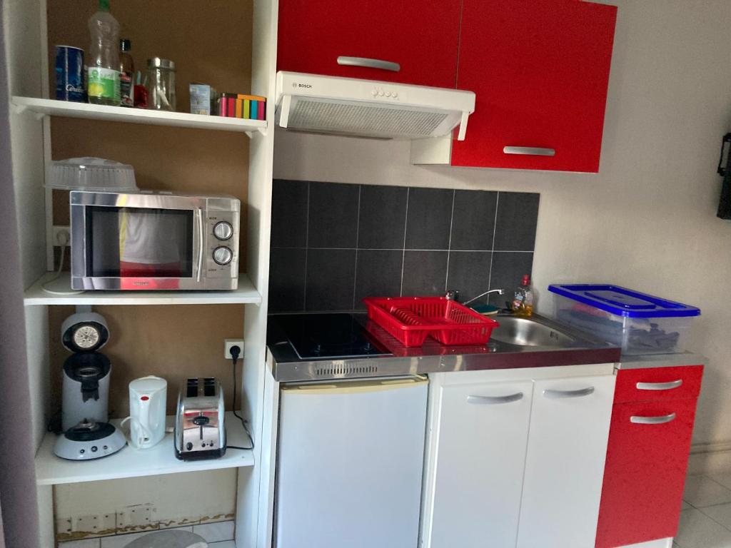 Η κουζίνα ή μικρή κουζίνα στο studio situé à Argeles gazost proche de gavarnie