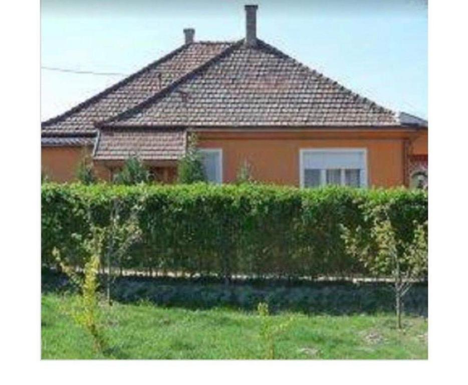 Tünde Vendégház 6331 Foktő, József Attila u 8 kép - 1