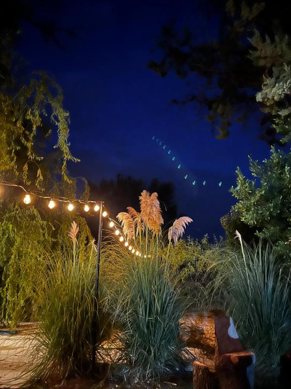 a string of lights in a garden at night w obiekcie Havre de paix en Provence w mieście Jonquières