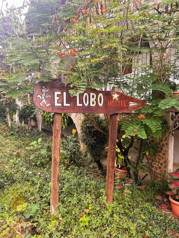 Lobo Hostel - Rurrenabaque