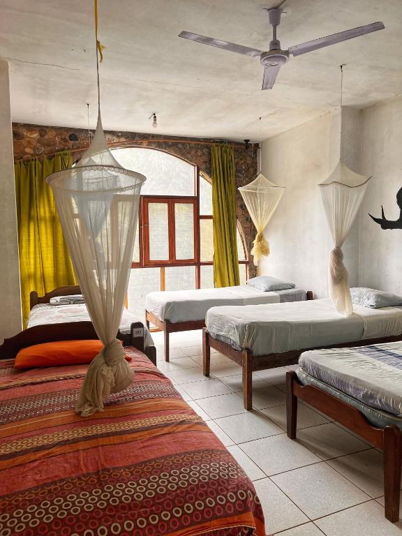 Lobo Hostel - Rurrenabaque