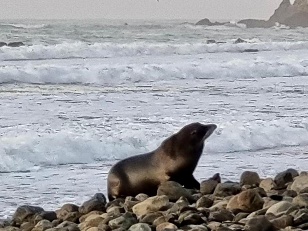 Close to Beach with Mountain Views in Puketa - Resim 11