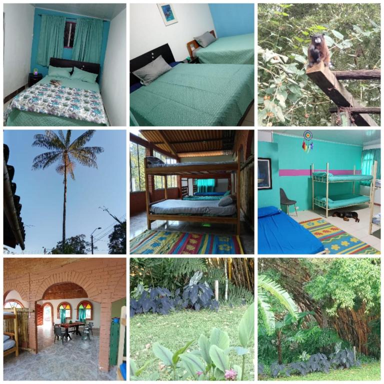 Billede fra billedgalleriet på SOL & SELVA Hostal Mocoa Putumayo i Mocoa
