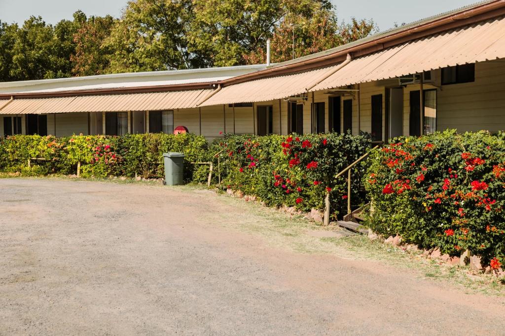 Zahrada ubytování Wagon Wheel Motel