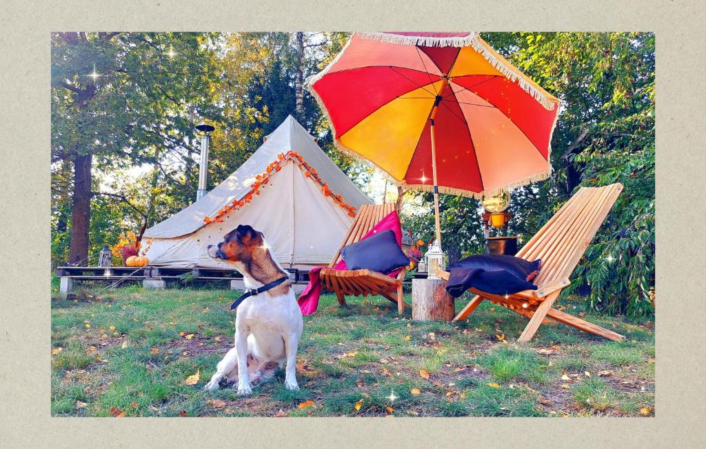 Hosté ubytování Glamping in - luxury tent