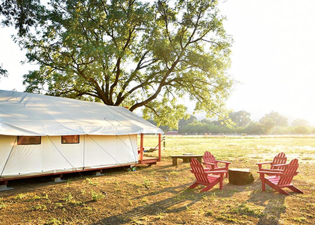 a tent with chairs and a picnic table in a field at Soul Whispering Ranch Retreat in Upper Lake