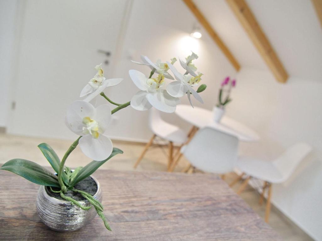 Apartments Sweet Escape - Studio Apartment with Terrace 1
