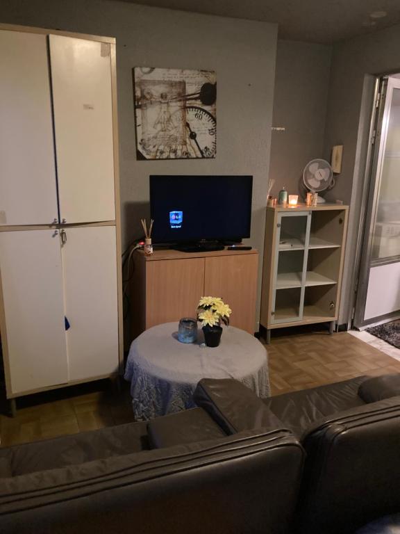 TV a/nebo společenská místnost v ubytování Gezellige studio in centrum Mol